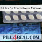 African Black Ant Pills 34